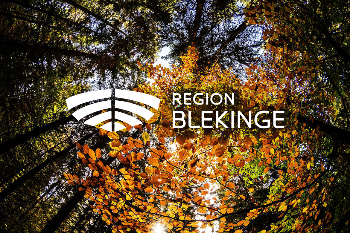 En höstskog med Region Blekinges vita logotyp i förgrunden