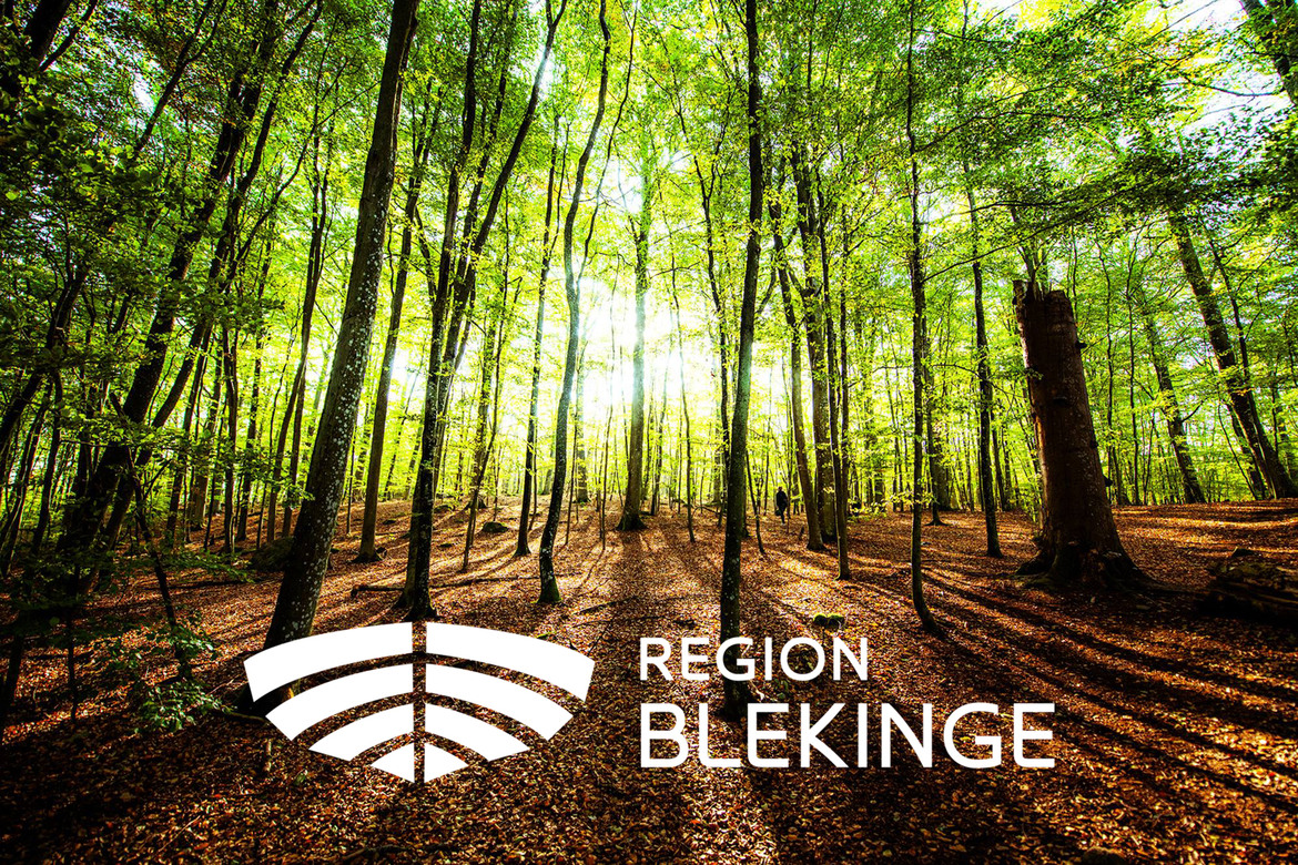 En skog i solljus med Region Blekinges vita logotyp i förgrunden