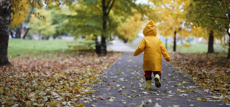 Ett barn i gul regnjacka går på asfalt. I bakgrunden syns träd och höstlöv på marken. 