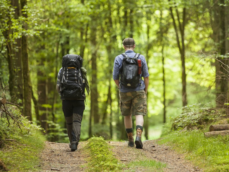 Två personer vandrar i skogen