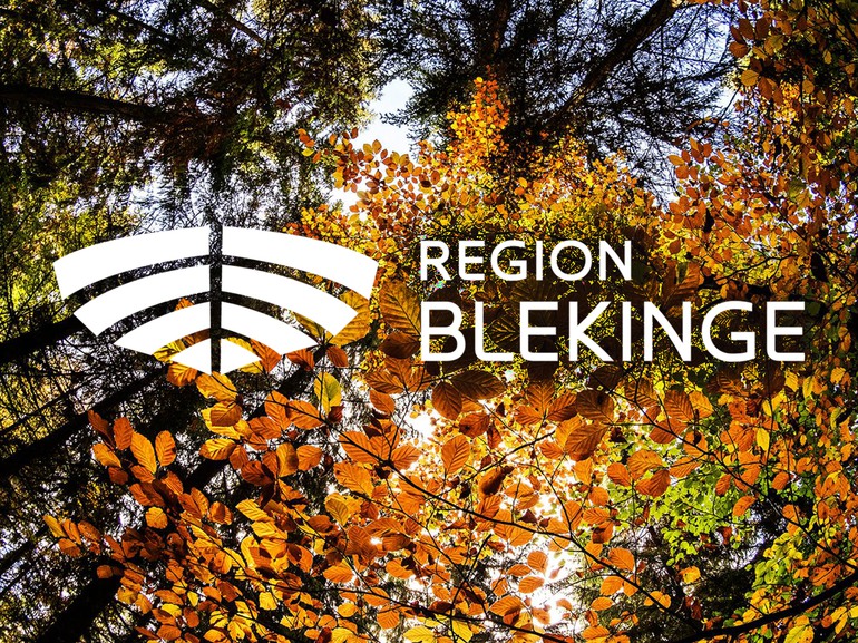 Höstlig lövskog med Region Blekinges logotyp