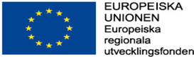 Europeiska Unionen, Europeiska regionala utvecklingsfonden