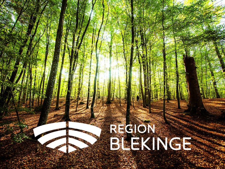 Region Blekinge logotyp och en skog