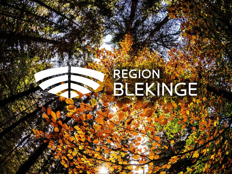 Region Blekinges logotyp i vit fäg. I bakgrunden träd med höstfärgade löv i en skog