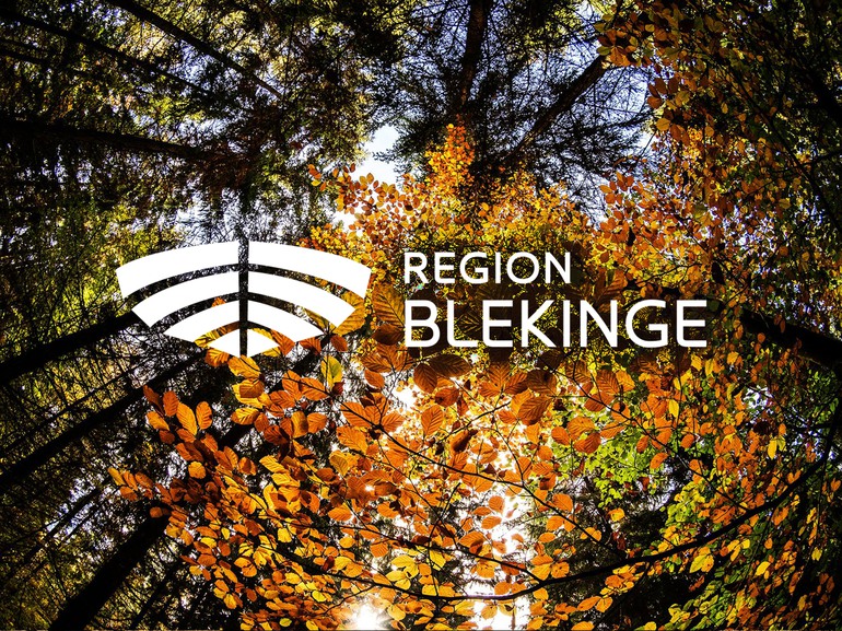 Bild på höstfärgade löv i skog. Region Blekinges logotyp mitt på bilden i vit färg 