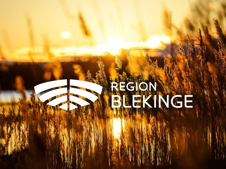 Region Blekinges logotyp i förgrunden och vass i bakgrunden.